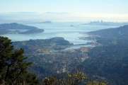 From the Mount Tam view area