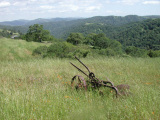Henry Coe State Park