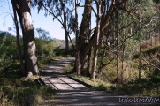 Path to Burleigh H Murray Ranch