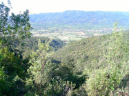 Sonoma Valley (Frm Cavedalre Rd)